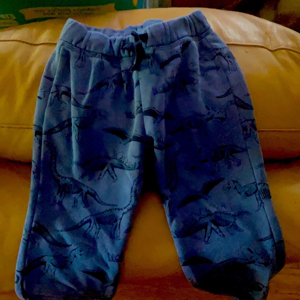 Boys Comfy blue Dinosaur Sweatpants